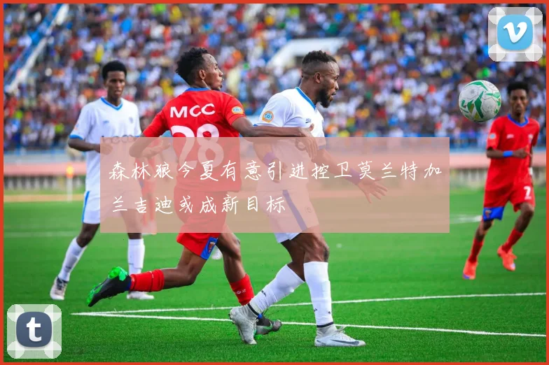 森林狼今夏有意引进控卫莫兰特加兰吉迪或成新目标
