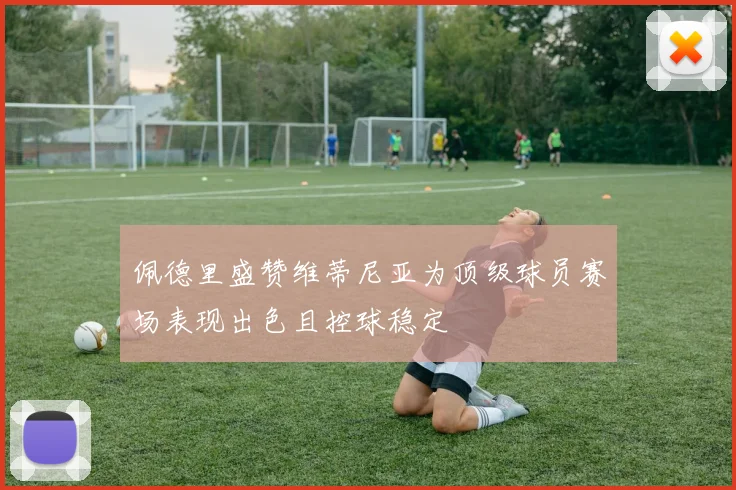 佩德里盛赞维蒂尼亚为顶级球员赛场表现出色且控球稳定
