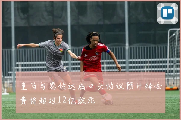 皇马与恩佐达成口头协议预计转会费将超过12亿欧元